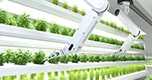 Smart Farming